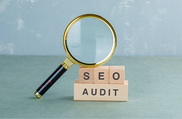 20.seo audits
